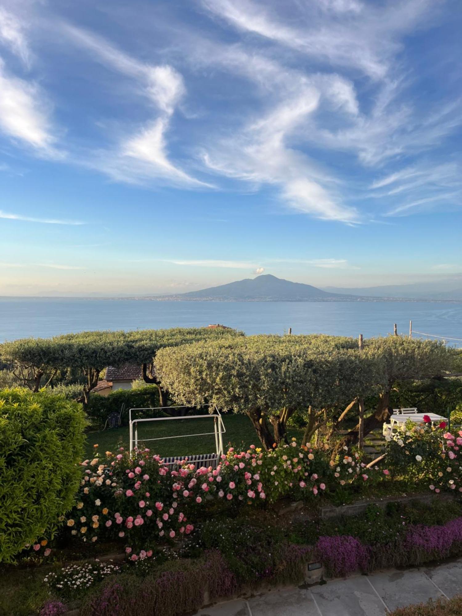 Hotel Sorrento Garden Exterior foto